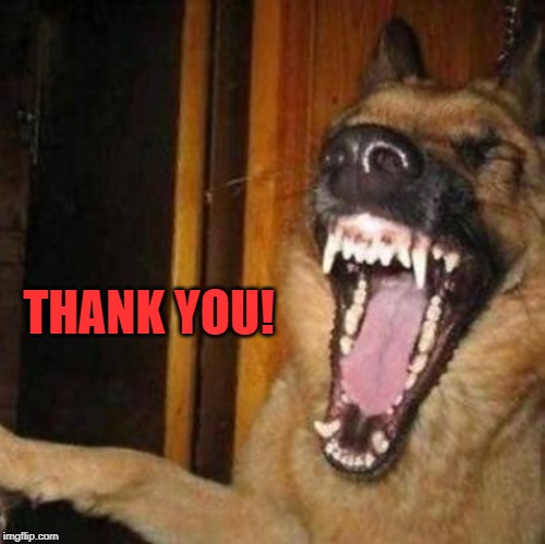 Laughing Dog | THANK YOU! | image tagged in laughing dog | made w/ Imgflip meme maker