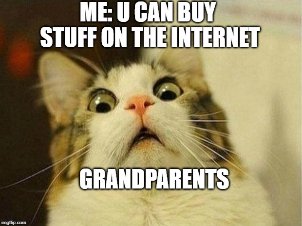 Scared Cat Meme | ME: U CAN BUY STUFF ON THE INTERNET; GRANDPARENTS | image tagged in memes,scared cat | made w/ Imgflip meme maker