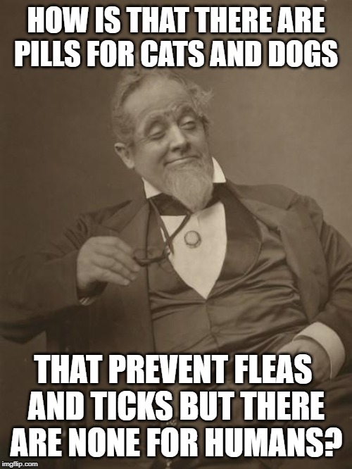 Good Question... | HOW IS THAT THERE ARE PILLS FOR CATS AND DOGS; THAT PREVENT FLEAS AND TICKS BUT THERE ARE NONE FOR HUMANS? | image tagged in philosophical freddy | made w/ Imgflip meme maker