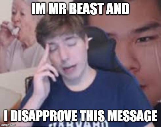 mr Beast | IM MR BEAST AND I DISAPPROVE THIS MESSAGE | image tagged in mr beast | made w/ Imgflip meme maker