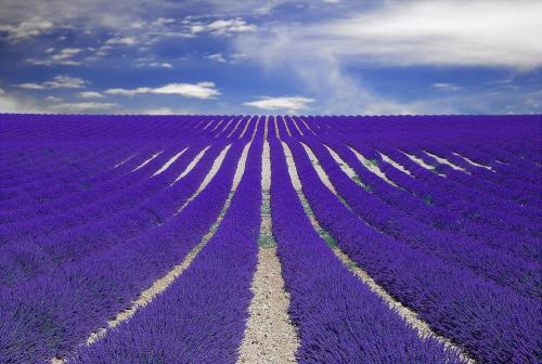 image tagged in nature,photography