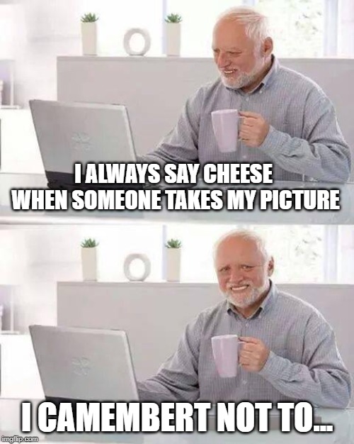 Harold's Cheesy pun | I ALWAYS SAY CHEESE WHEN SOMEONE TAKES MY PICTURE; I CAMEMBERT NOT TO... | image tagged in memes,hide the pain harold | made w/ Imgflip meme maker