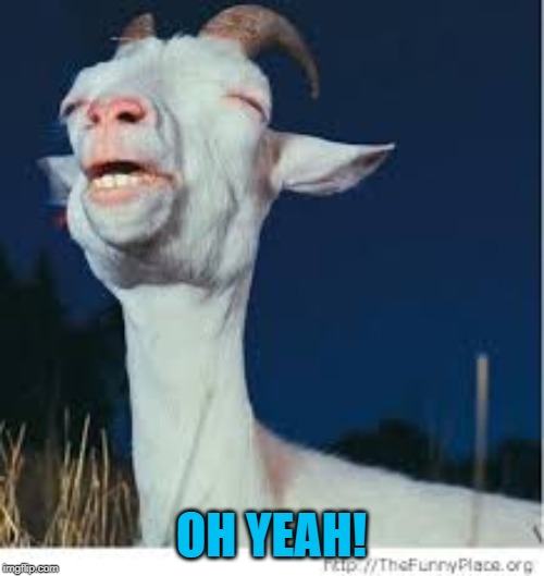 Pleasure Goat | OH YEAH! | image tagged in pleasure goat | made w/ Imgflip meme maker