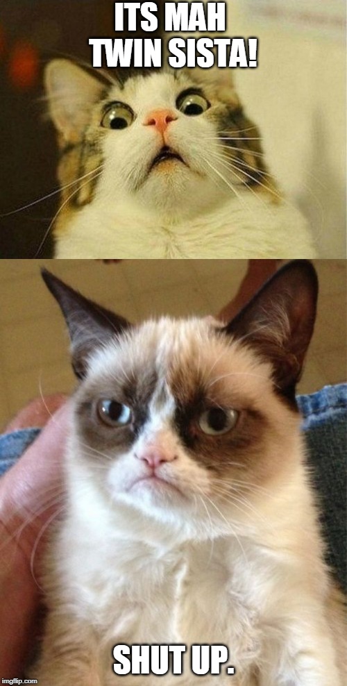 ITS MAH TWIN SISTA! SHUT UP. | image tagged in memes,grumpy cat,scared cat | made w/ Imgflip meme maker