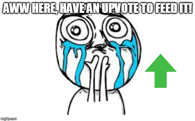 Crying Because Of Cute Meme | AWW HERE, HAVE AN UPVOTE TO FEED IT! | image tagged in memes,crying because of cute | made w/ Imgflip meme maker