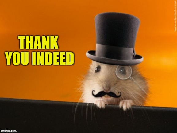 Indeed | THANK YOU INDEED | image tagged in indeed | made w/ Imgflip meme maker