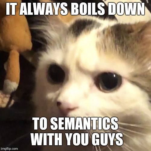 Frowny kat | IT ALWAYS BOILS DOWN TO SEMANTICS WITH YOU GUYS | image tagged in frowny kat | made w/ Imgflip meme maker