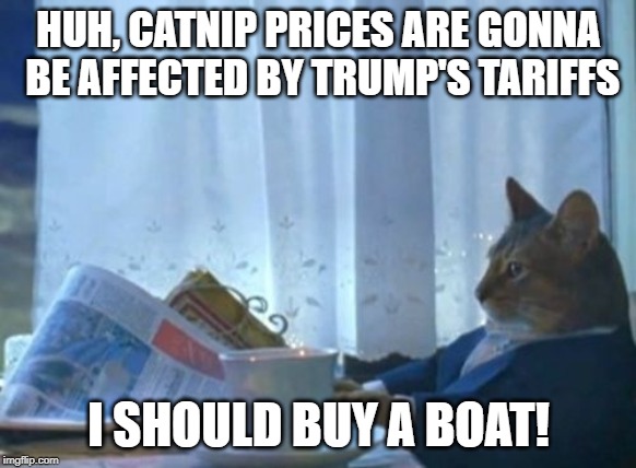 The Cost of the Nip is Rising | HUH, CATNIP PRICES ARE GONNA BE AFFECTED BY TRUMP'S TARIFFS; I SHOULD BUY A BOAT! | image tagged in memes,i should buy a boat cat | made w/ Imgflip meme maker