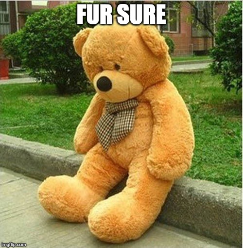teddy bear | FUR SURE | image tagged in teddy bear | made w/ Imgflip meme maker
