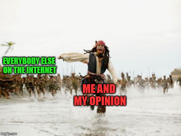 Jack Sparrow Being Chased | EVERYBODY ELSE ON THE INTERNET; ME AND MY OPINION | image tagged in memes,jack sparrow being chased | made w/ Imgflip meme maker