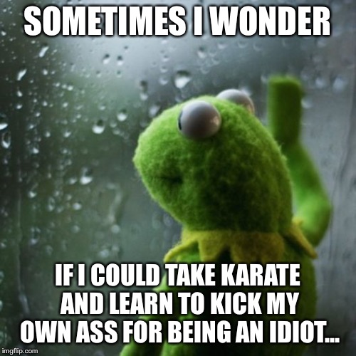 sometimes I wonder  | SOMETIMES I WONDER; IF I COULD TAKE KARATE AND LEARN TO KICK MY OWN ASS FOR BEING AN IDIOT... | image tagged in sometimes i wonder | made w/ Imgflip meme maker