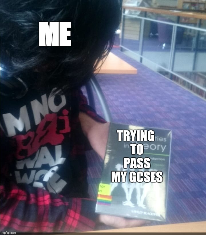 Me understanding~ | ME; TRYING TO PASS MY GCSES | image tagged in me understanding | made w/ Imgflip meme maker