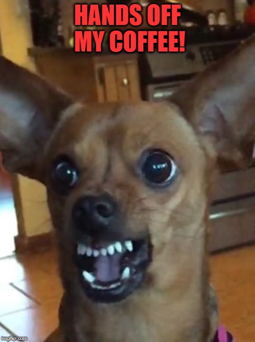 It's a good way to draw back a nub. |  HANDS OFF MY COFFEE! | image tagged in trump chiuahua,nixieknox | made w/ Imgflip meme maker