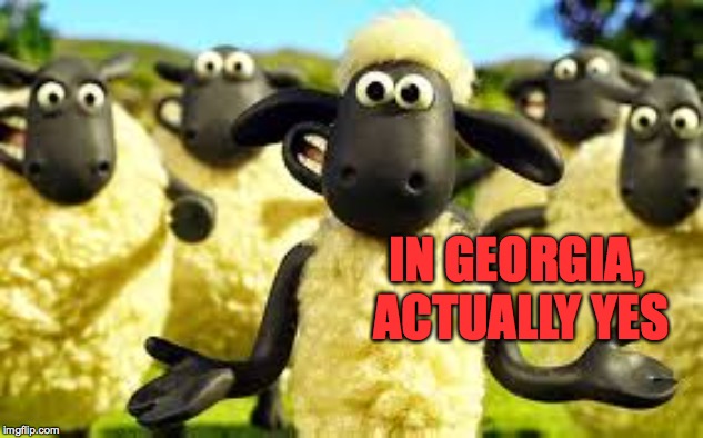IN GEORGIA, ACTUALLY YES | made w/ Imgflip meme maker