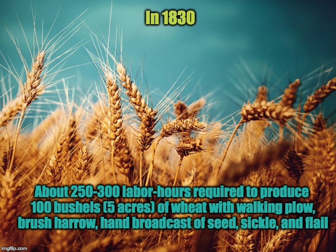 In 1830; About 250-300 labor-hours required to produce 100 bushels (5 acres) of wheat with walking plow, brush harrow, hand broadcast of seed, sickle, and flail | image tagged in farm,farmers,wheat,crops | made w/ Imgflip meme maker