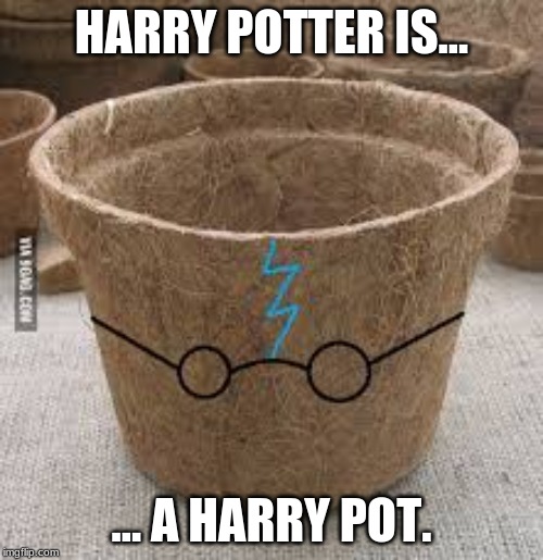 Harry Potter's true form. | HARRY POTTER IS... ... A HARRY POT. | image tagged in funny,memes,bully,bullshit,nonsense,harry potter meme | made w/ Imgflip meme maker