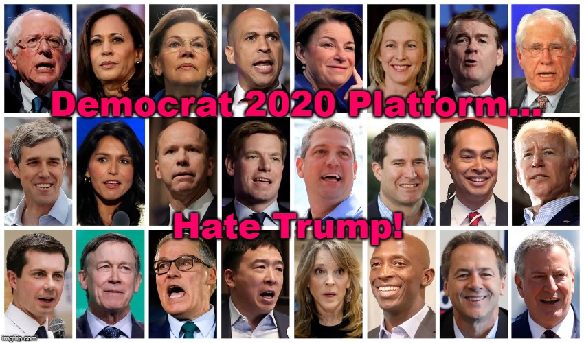 2020 Democrat Platform... | Democrat 2020 Platform... Hate Trump! | image tagged in tds,democrats,liberals,election 2020 | made w/ Imgflip meme maker