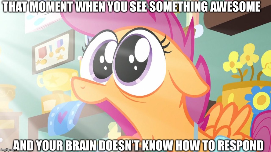 Shocked Scootaloo | THAT MOMENT WHEN YOU SEE SOMETHING AWESOME; AND YOUR BRAIN DOESN’T KNOW HOW TO RESPOND | image tagged in shocked scootaloo | made w/ Imgflip meme maker