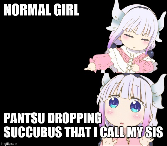 Who gets the reference? | NORMAL GIRL; PANTSU DROPPING SUCCUBUS THAT I CALL MY SIS | image tagged in kanna drake | made w/ Imgflip meme maker