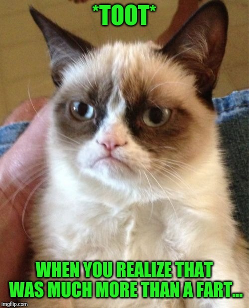 Grumpy Cat Meme | *TOOT*; WHEN YOU REALIZE THAT WAS MUCH MORE THAN A FART... | image tagged in memes,grumpy cat | made w/ Imgflip meme maker