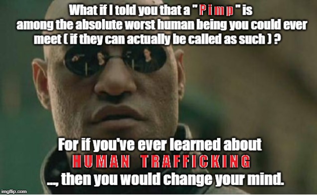 Being called a "Pimp" is NOT a Compliment. | image tagged in memes,pimp,snitch,gangsta,matrix morpheus,drugs | made w/ Imgflip meme maker