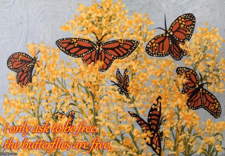Save The Monarchs | i only ask to be free.
 the butterflies are free. | image tagged in monarch butterflies,pollinators,no chemical pesticide,no chemical fertilizer,no chemical sunscreen,21st century flowerchild | made w/ Imgflip meme maker