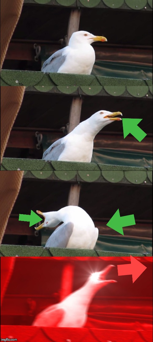 A upvote and downvote meme | image tagged in memes,inhaling seagull | made w/ Imgflip meme maker