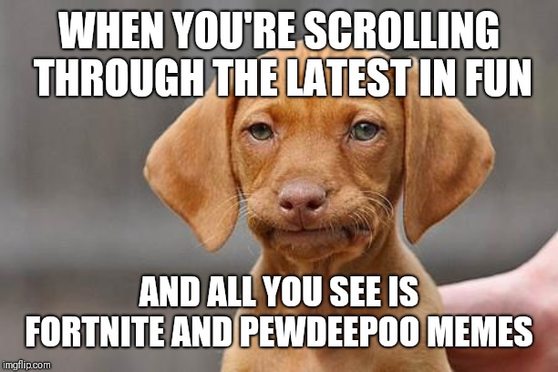 Dissapointed puppy | WHEN YOU'RE SCROLLING THROUGH THE LATEST IN FUN; AND ALL YOU SEE IS FORTNITE AND PEWDEEPOO MEMES | image tagged in dissapointed puppy,fortshite,pewdiepie,why do people worship youtubers,enough is enough | made w/ Imgflip meme maker