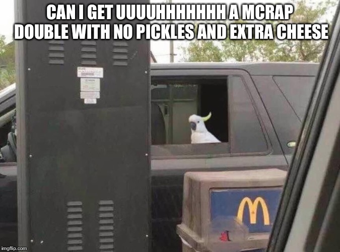 Can I get uhhh | CAN I GET UUUUHHHHHHH A MCRAP DOUBLE WITH NO PICKLES AND EXTRA CHEESE | image tagged in can i get uhhh | made w/ Imgflip meme maker