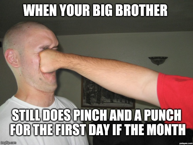 Face punch | WHEN YOUR BIG BROTHER; STILL DOES PINCH AND A PUNCH FOR THE FIRST DAY IF THE MONTH | image tagged in face punch | made w/ Imgflip meme maker