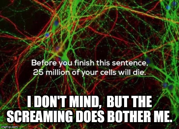 cells | I DON'T MIND,  BUT THE SCREAMING DOES BOTHER ME. | image tagged in cells | made w/ Imgflip meme maker