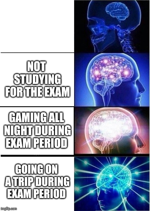 Expanding Brain | NOT STUDYING FOR THE EXAM; GAMING ALL NIGHT DURING EXAM PERIOD; GOING ON A TRIP DURING EXAM PERIOD | image tagged in memes,expanding brain | made w/ Imgflip meme maker