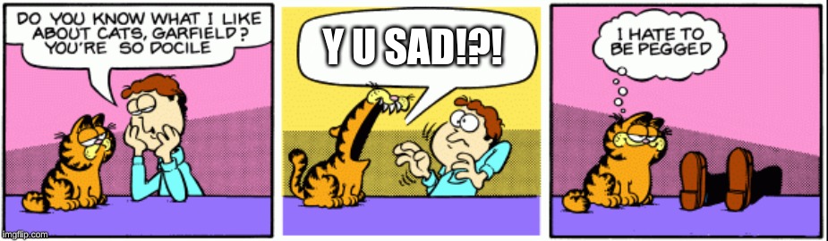 Grumpy Garfield | Y U SAD!?! | image tagged in grumpy garfield | made w/ Imgflip meme maker