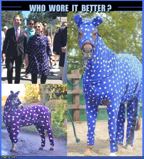 The horse or the horse's ass | image tagged in lol so funny,funny memes,hillary clinton,blue dress,hilarious,memes | made w/ Imgflip meme maker