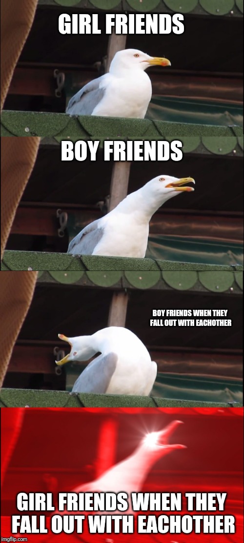 Inhaling Seagull Meme | GIRL FRIENDS; BOY FRIENDS; BOY FRIENDS WHEN THEY FALL OUT WITH EACHOTHER; GIRL FRIENDS WHEN THEY FALL OUT WITH EACHOTHER | image tagged in memes,inhaling seagull | made w/ Imgflip meme maker