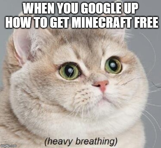 Heavy Breathing Cat Meme |  WHEN YOU GOOGLE UP HOW TO GET MINECRAFT FREE | image tagged in memes,heavy breathing cat | made w/ Imgflip meme maker