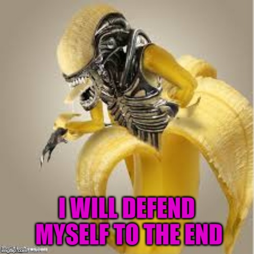 I WILL DEFEND MYSELF TO THE END | made w/ Imgflip meme maker
