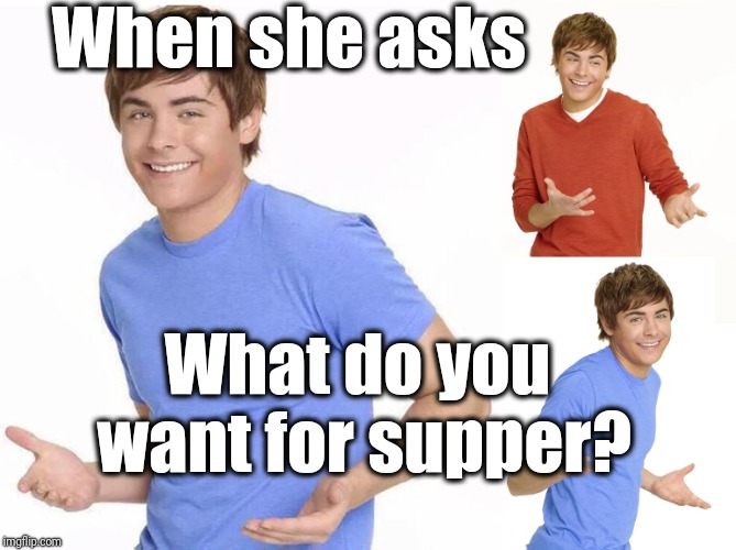 For cryin out loud! Whatever you make is fine! | When she asks; What do you want for supper? | image tagged in zac efron | made w/ Imgflip meme maker