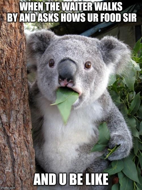 Surprised Koala | WHEN THE WAITER WALKS BY AND ASKS HOWS UR FOOD SIR; AND U BE LIKE | image tagged in memes,surprised koala | made w/ Imgflip meme maker