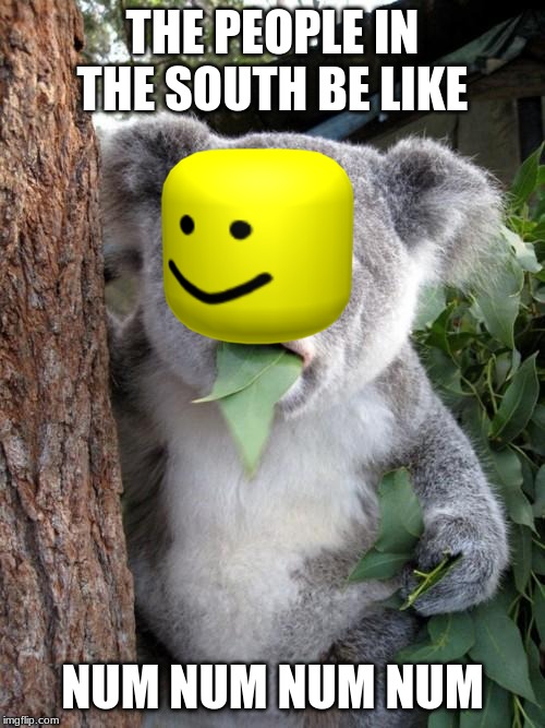 Surprised Koala Meme | THE PEOPLE IN THE SOUTH BE LIKE; NUM NUM NUM NUM | image tagged in memes,surprised koala | made w/ Imgflip meme maker