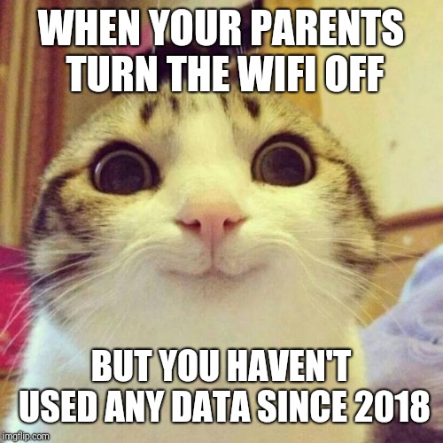 Smiling Cat | WHEN YOUR PARENTS TURN THE WIFI OFF; BUT YOU HAVEN'T USED ANY DATA SINCE 2018 | image tagged in memes,smiling cat,funny memes,funny,latest | made w/ Imgflip meme maker