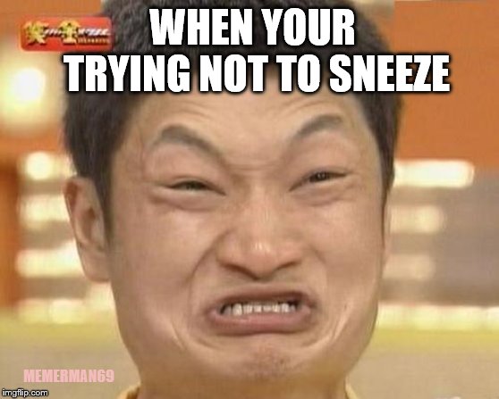 Impossibru Guy Original Meme | WHEN YOUR TRYING NOT TO SNEEZE; MEMERMAN69 | image tagged in memes,impossibru guy original | made w/ Imgflip meme maker