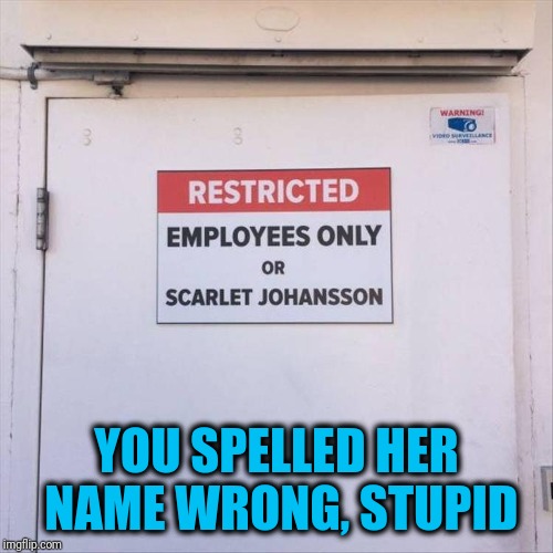 You thought mispelled memes were bad | YOU SPELLED HER NAME WRONG, STUPID | image tagged in red | made w/ Imgflip meme maker