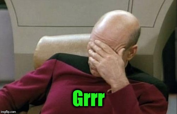 Captain Picard Facepalm Meme | Grrr | image tagged in memes,captain picard facepalm | made w/ Imgflip meme maker