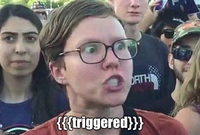 Triggered Liberal | {{{triggered}}} | image tagged in triggered liberal | made w/ Imgflip meme maker