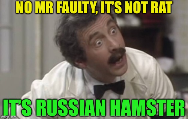 Manuel, Fawlty Towers | NO MR FAULTY, IT’S NOT RAT IT’S RUSSIAN HAMSTER | image tagged in manuel fawlty towers | made w/ Imgflip meme maker