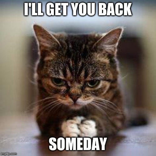 WORLD DOMINATION | I'LL GET YOU BACK SOMEDAY | image tagged in world domination | made w/ Imgflip meme maker