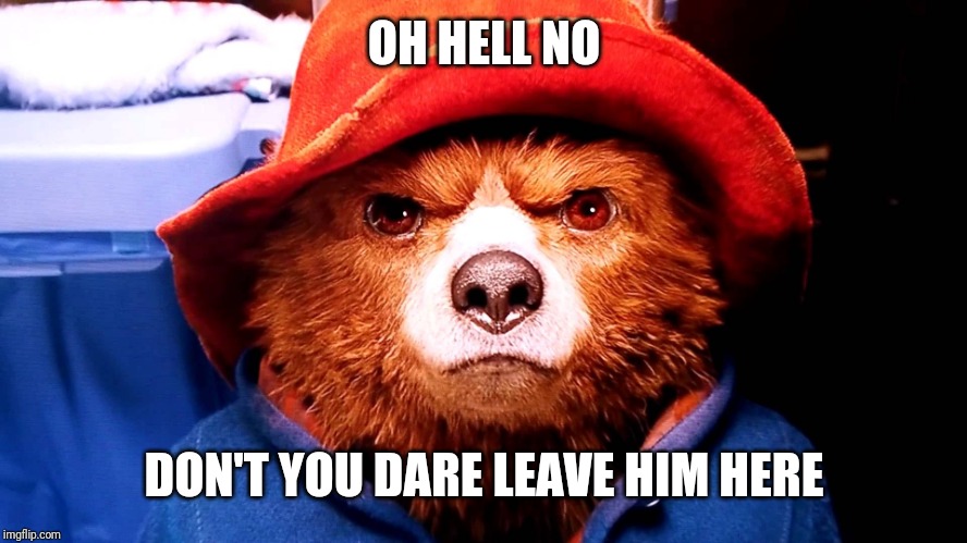 Paddington hard stare | OH HELL NO DON'T YOU DARE LEAVE HIM HERE | image tagged in paddington hard stare | made w/ Imgflip meme maker