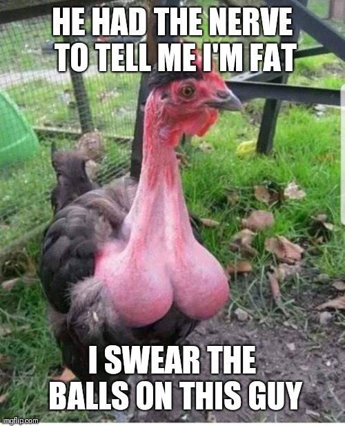 The nerve!! | HE HAD THE NERVE TO TELL ME I'M FAT; I SWEAR THE BALLS ON THIS GUY | image tagged in chicken | made w/ Imgflip meme maker