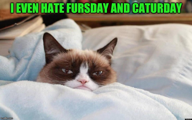 grumpy cat bed | I EVEN HATE FURSDAY AND CATURDAY | image tagged in grumpy cat bed | made w/ Imgflip meme maker